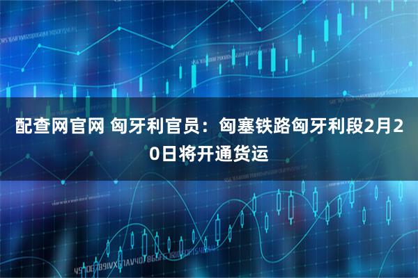 配查网官网 匈牙利官员：匈塞铁路匈牙利段2月20日将开通货运